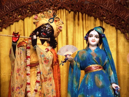 Article gallery image 29