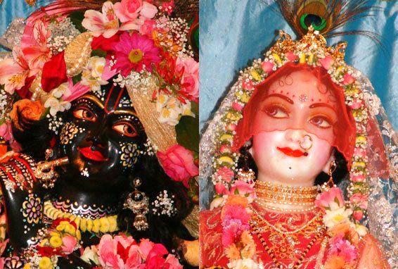 Article gallery image 30