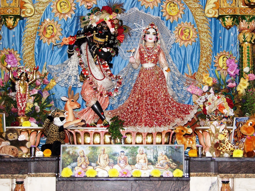 Article gallery image 33