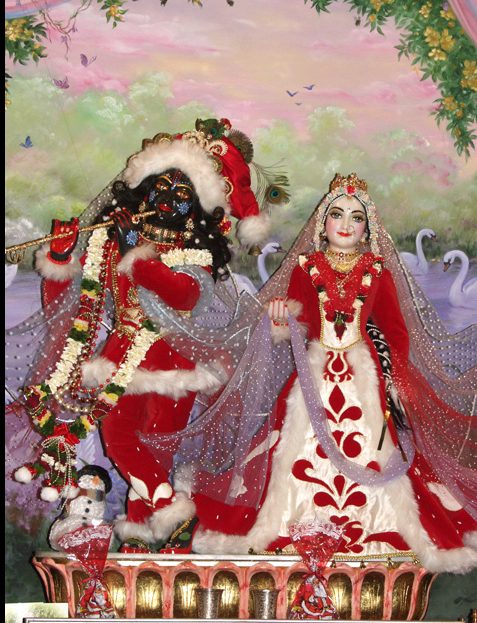 Article gallery image 6