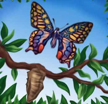 The Evolution of Consciousness