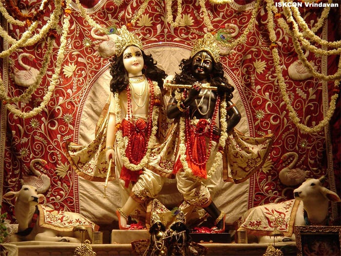 The ISKCON Vrndavan’s Goshala Land Is For Krsna’s Cows
