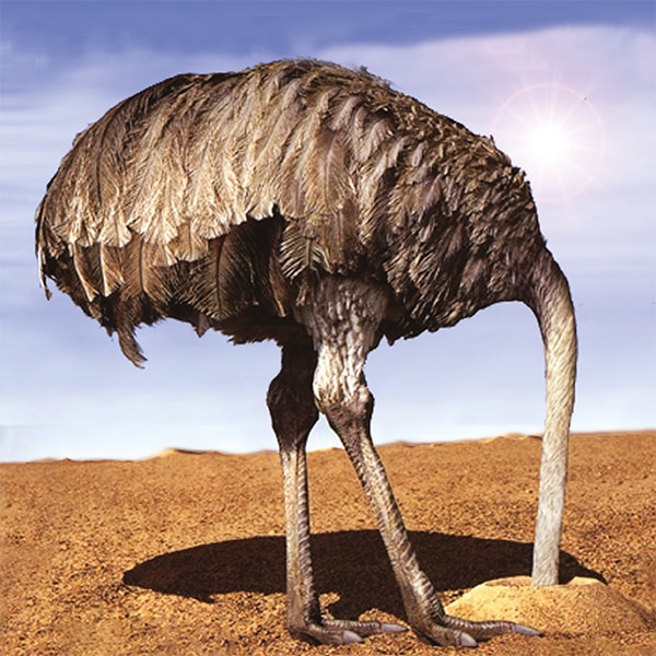 Denial Is An Ugly Thing