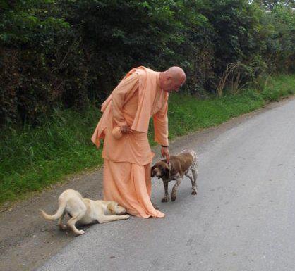 Srila Prabhupada Outsmarted All The Gurus!